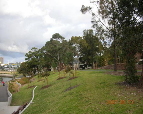 Glebe Foreshore