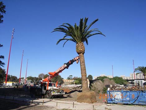 Redfern Park