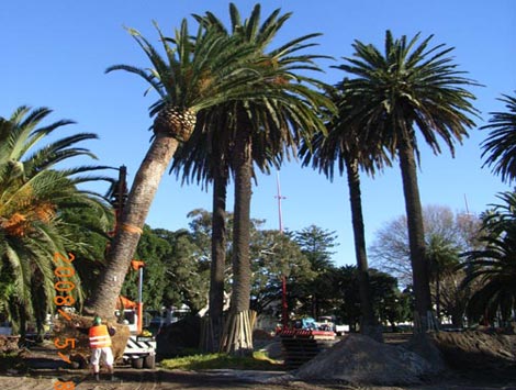 Redfern Park