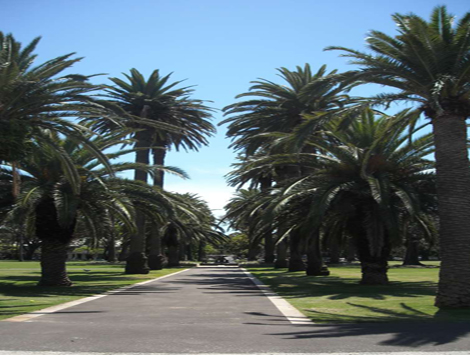 Redfern Park